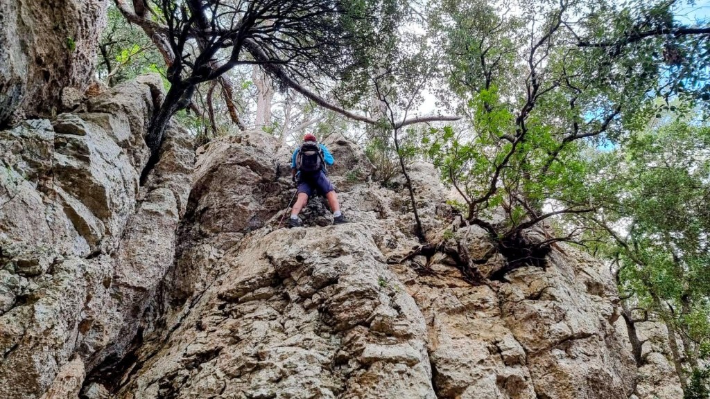Escalador ascendiendo por una roca en un entorno natural con vegetación densa.