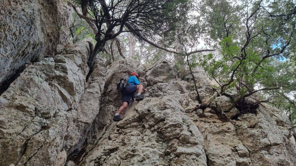 LA COMUNA DE BUNYOLA por la Coma d’en&nbsp;Buscante