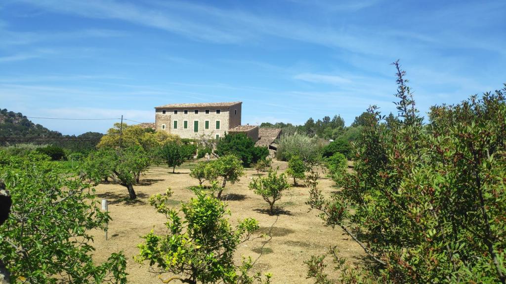Vista de Can Bujosa con un edificio de piedra en medio de un terreno con árboles y vegetación, bajo un cielo azul claro.