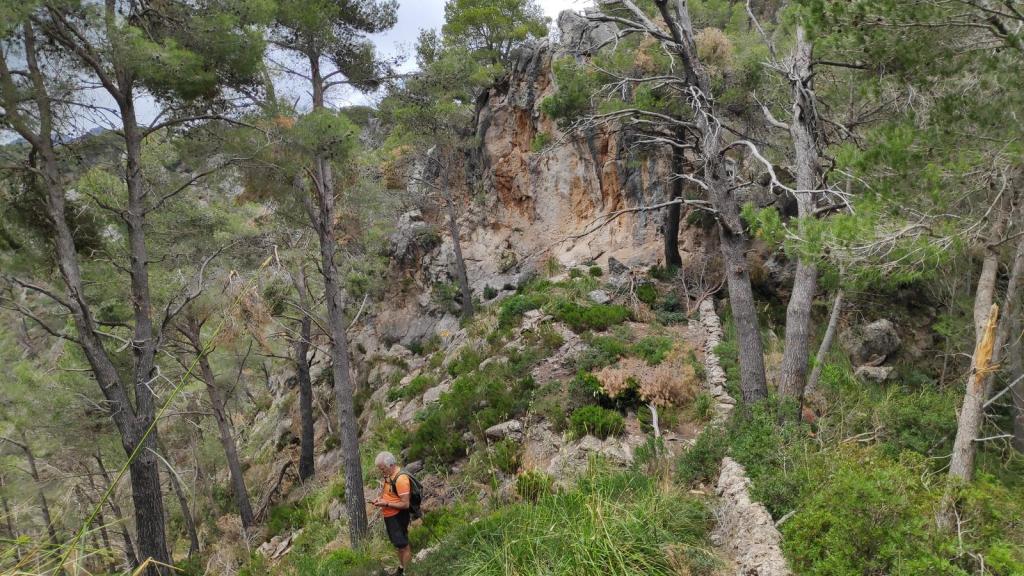 Senderista con mochila en un sendero rodeado de pinos y rocas en la ruta 'Puig de n’Escuder-Puig de los Albellons en Mallorca'.
