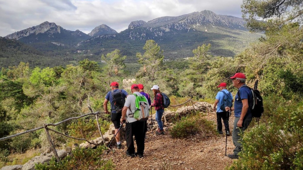 Grupo de senderistas en un camino rodeado de árboles, con montañas de fondo en la ruta hacia el Puig Tomir.