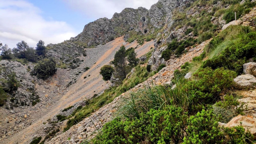 Vista del sendero y la pendiente del Pas des Pedregaret en la ruta hacia el Puig Tomir, rodeado de vegetación y rocas.