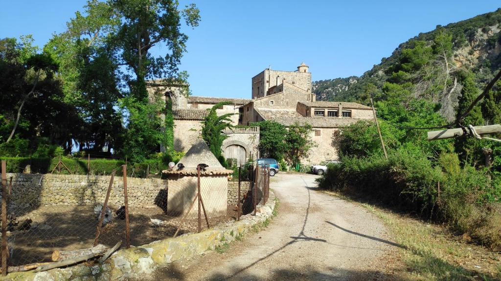 Vista del Predio de Sa Comarodeada de vegetación y un camino de tierra, con un pequeño cobertizo en primer plano.