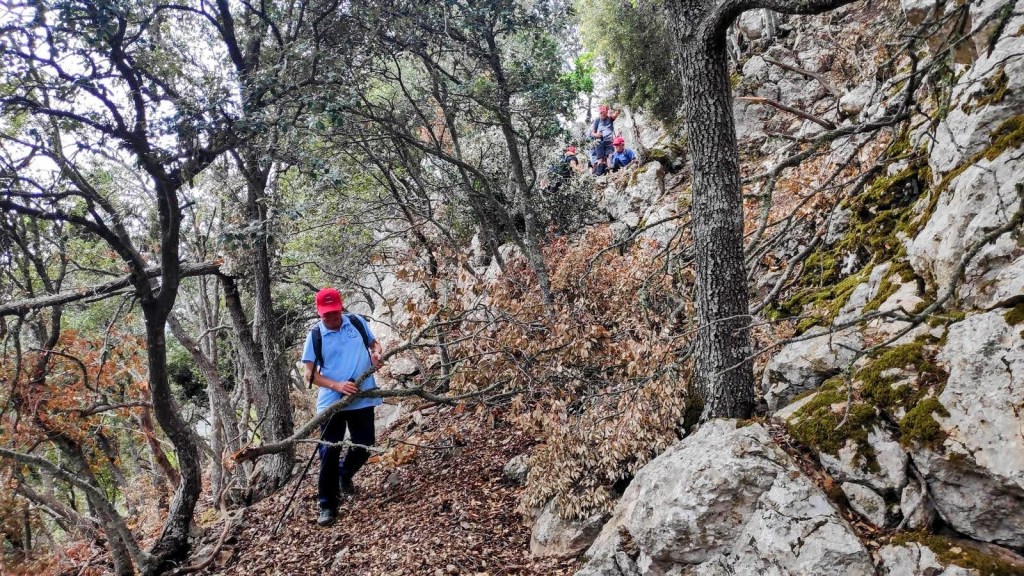 Moleta de Pastoritx desde Valldemossa - Caminando por Mallorca Senderistas en un camino rocoso y cubierto de hojas, rodeados por árboles y vegetación durante la ruta a la Moleta de Pastoritx.