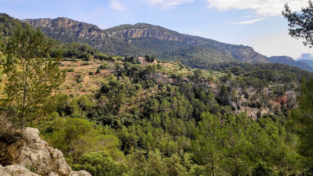 Coll d'Estellencs desde Puigpunyent - Caminando por Mallorca Panorámica del paisaje montañoso en la ruta 'Coll d'Estellencs desde Puigpunyent', con vegetación densa, pinos y montañas al fondo.
