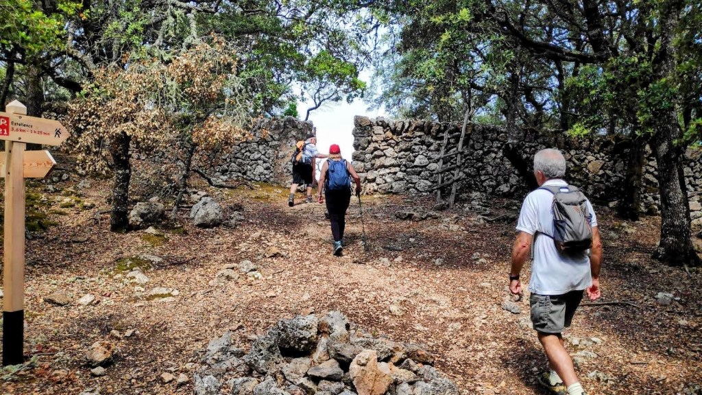 Coll d'Estellencs desde Puigpunyent - Caminando por Mallorca Grupo de senderistas caminando por un camino en un bosque con piedras y vegetación, junto a piedras en ruinas y un cartel indicador de la ruta hacia Estellencs.