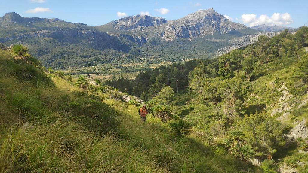 Vista panorámica de un sendero montañoso con vegetación abundante y montañas en el fondo, donde se observa una persona caminando por la ruta.