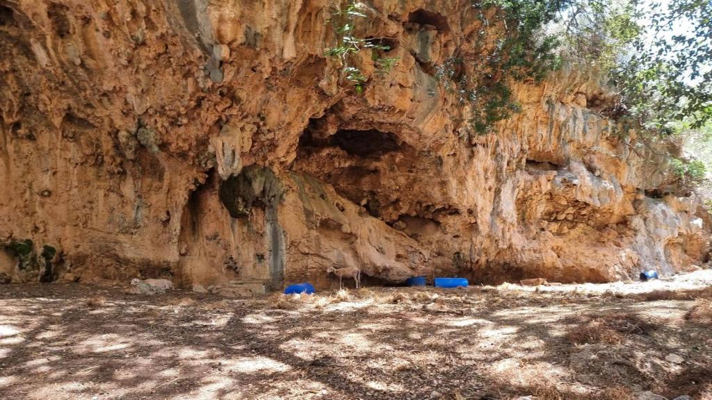 Vista de una pared rocosa en una cueva, con vegetación cercana y objetos azules en el suelo.