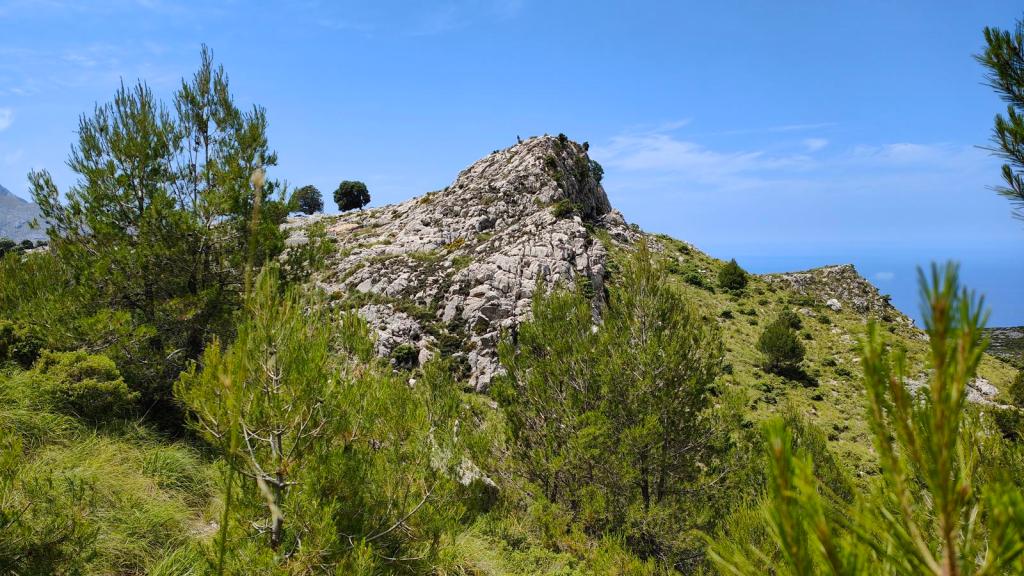 Vista de un paisaje montañoso con formaciones rocosas y vegetación típica de la zona, incluyendo pinos y hierba verde, bajo un cielo despejado.