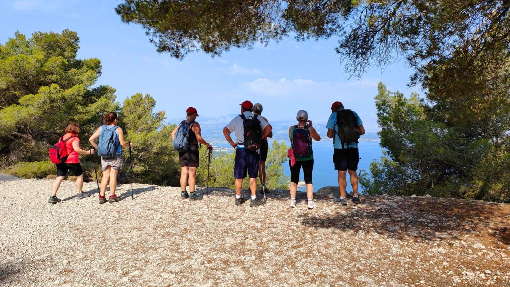 Grupo de personas en una ruta de senderismo, observando el paisaje desde un mirador con vegetación de pinos alrededor y vistas a la bahía.