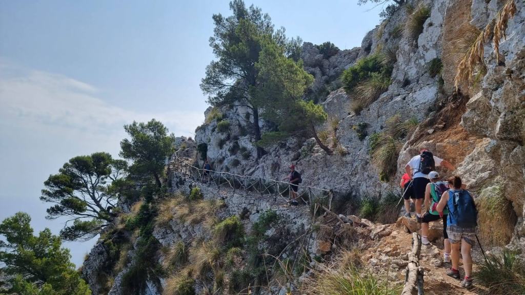 Grupo de senderistas ascendiendo por un camino estrecho y rocoso en la ruta hacia la Talaia de Alcudia, con vegetación y árboles a los lados.