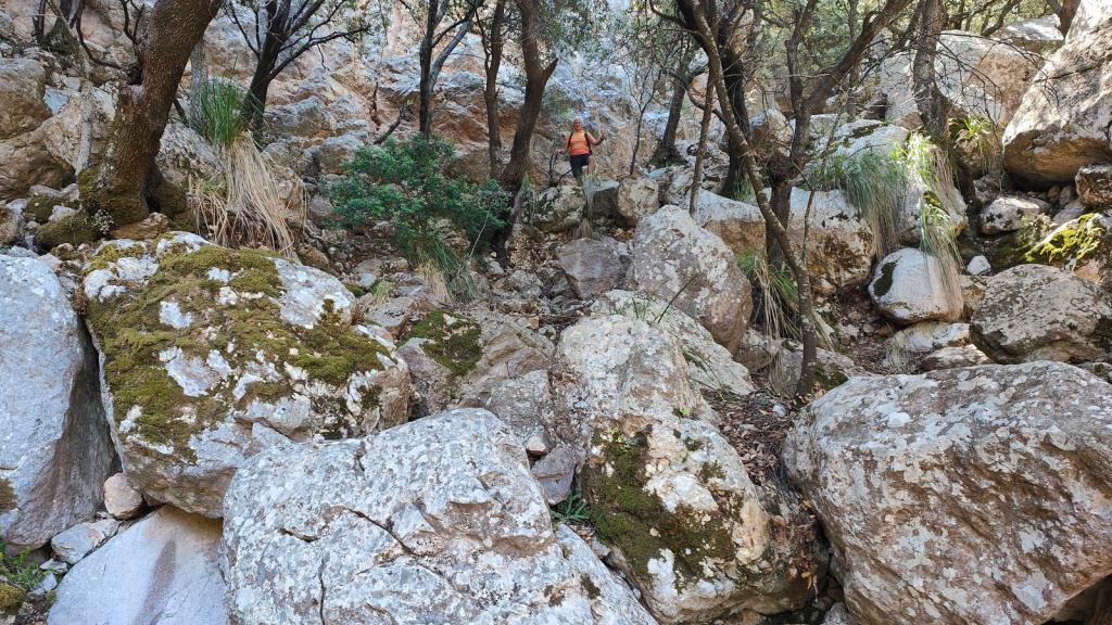 Senderista ascendiendo por el Pas de sa Mula, rocoso y cubierto de vegetación en la ruta 'Cigles de s’Obi por el Pas de la Servera'.