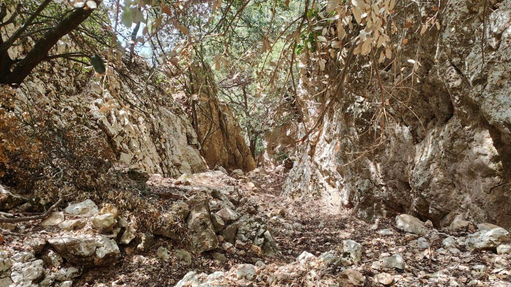 Sendero estrecho entre rocas y vegetación en la ruta Puntals de Planícia-Puig de Planícia desde Estellencs.