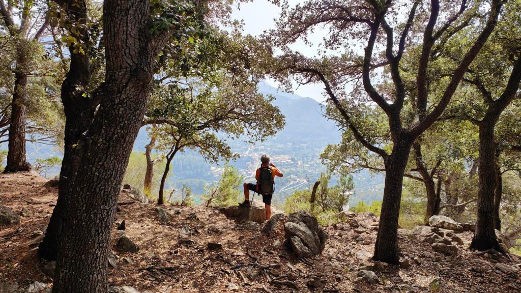 Una persona sentada sobre una roca en un sendero forestal, rodeada de árboles y con vistas panorámicas hacia un valle en la distancia.