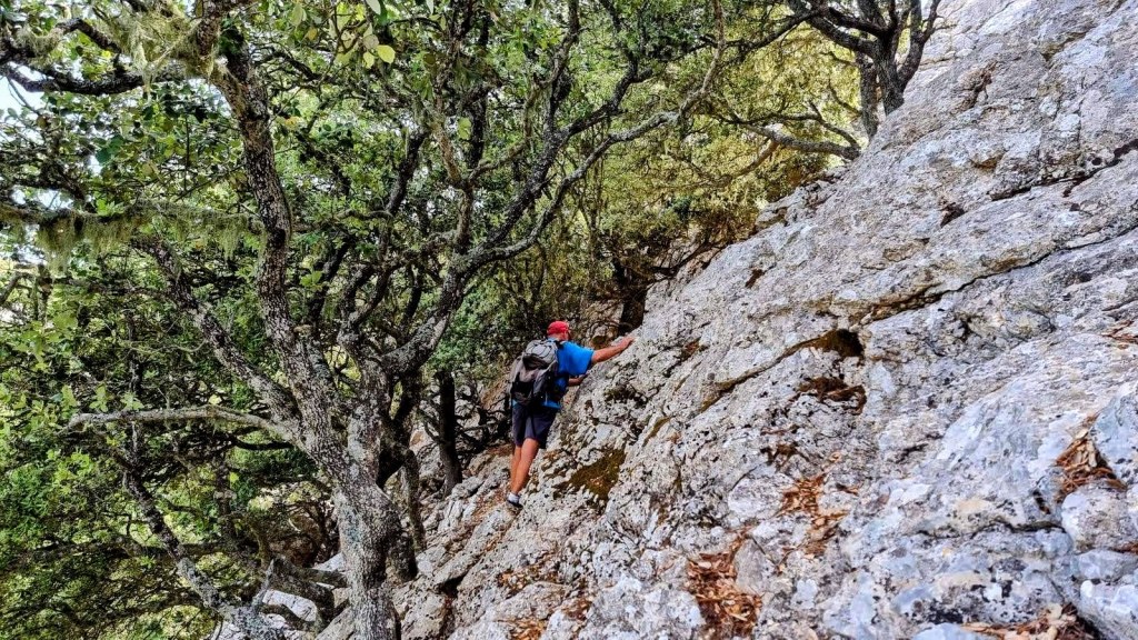 Un senderista asciende por el Pas de sa Rata, rodeado de árboles en un entorno natural.
