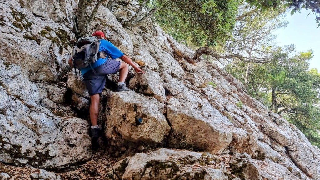 PUNTALS DE PLANICIA Y PUIG DE PLANICIA desde&nbsp;Estellencs