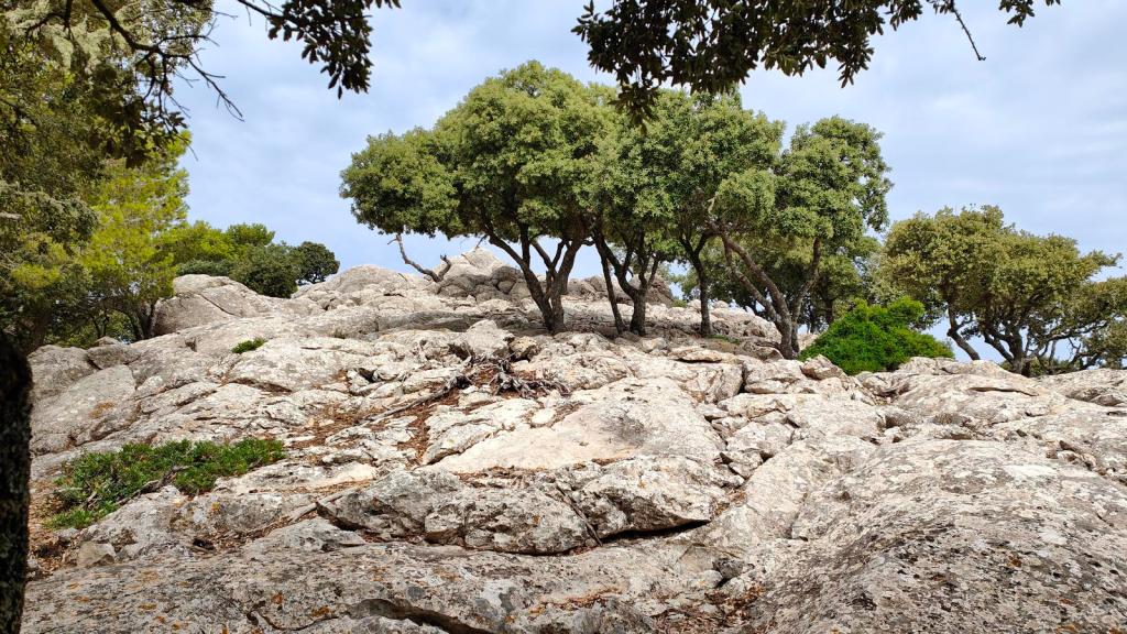 Vista del Molestó de la Granja cubierto de grandes piedras y árboles, representando un paisaje natural en una ruta de senderismo.