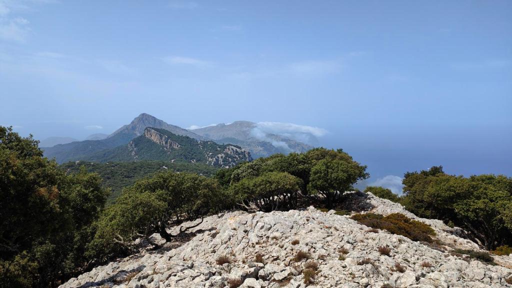 Vista panorámica desde la cima de la Mola de Planicia , mostrando montañas y un mar en el horizonte, rodeado de vegetación y rocas.