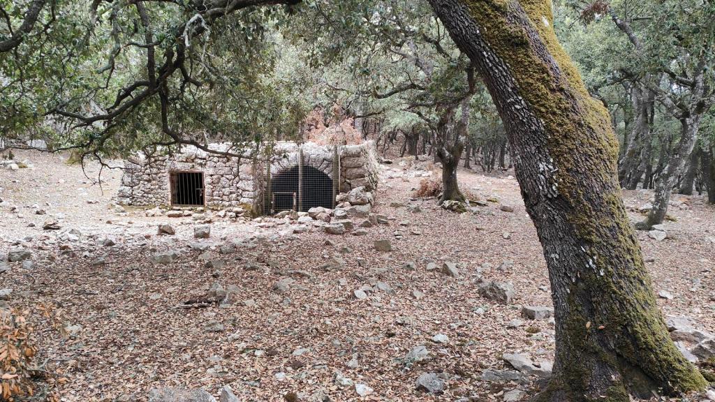 Una construcción de piedra con una entrada enrejada, ubicada en un bosque con suelo cubierto de hojas caídas y árboles de encina.