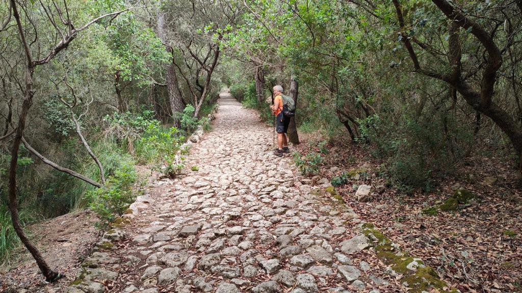 Camino de piedra en un bosque frondoso, con dos senderistas conversando entre árboles.