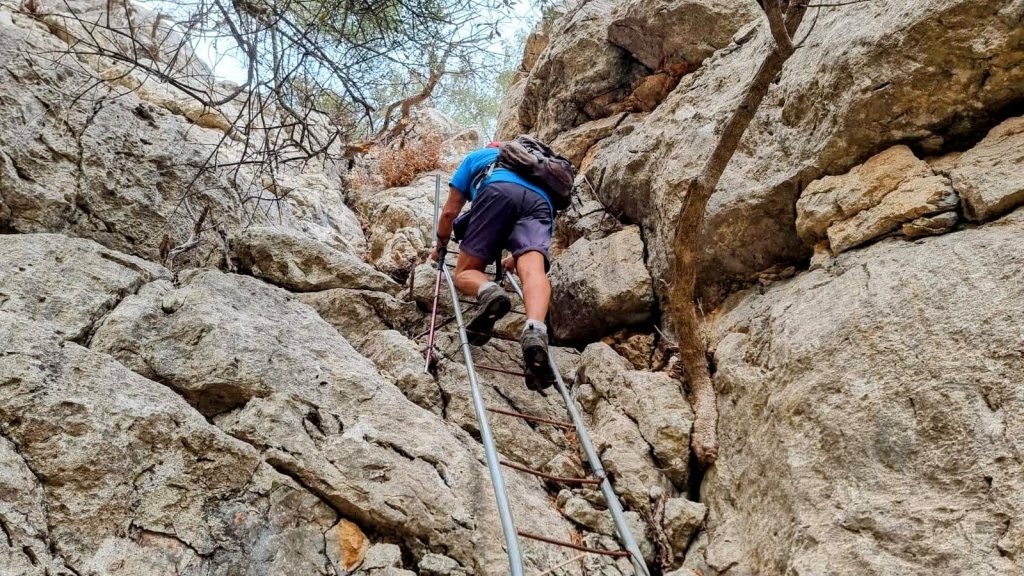 FITA DEL RAM por el Pas d’en&nbsp;Gotleu