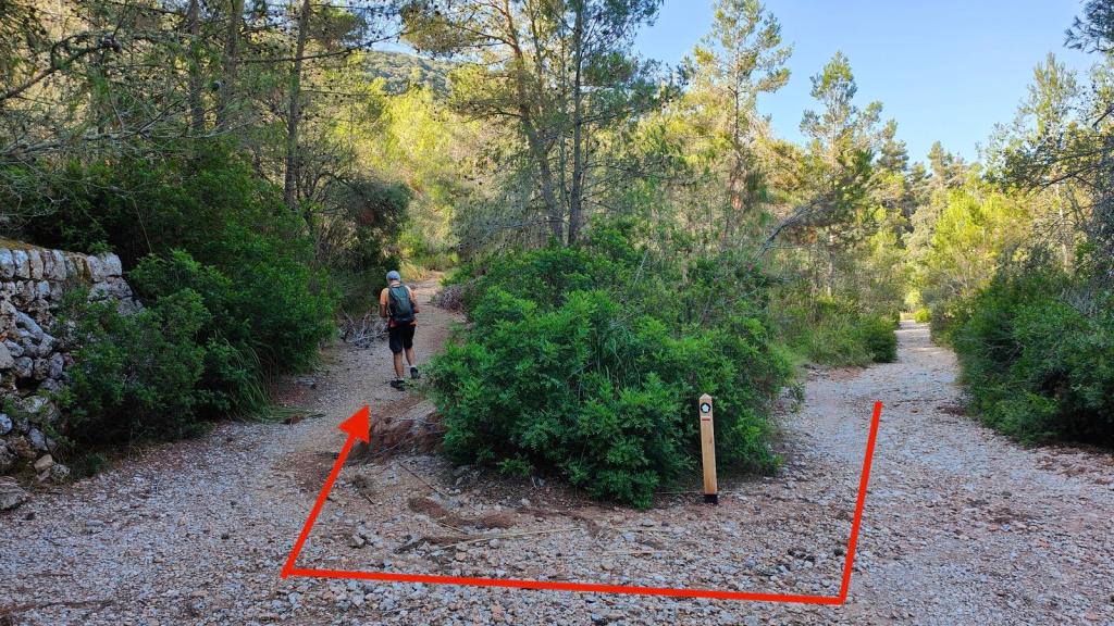 Un sendero en la Serra de Son Moragues, con un caminante que se dirige hacia una bifurcación marcada por un poste indicativo, rodeado de vegetación frondosa.