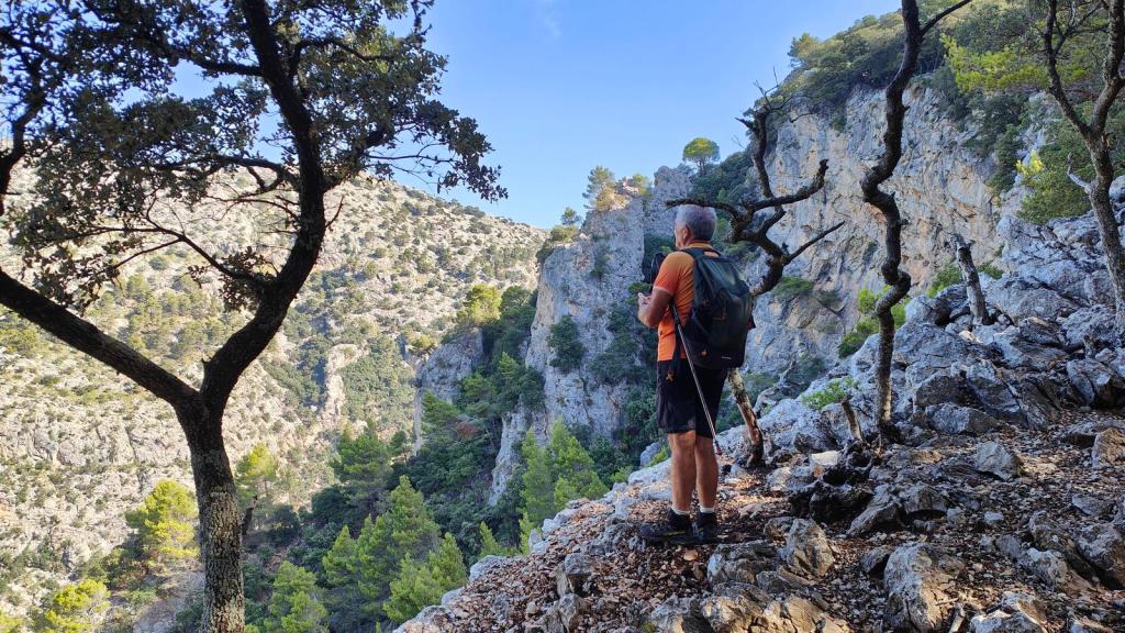 Hombre de pie en un sendero montañoso en la Serra de Son Moragues, observando vistas del paisaje y rodeado de árboles y rocas.