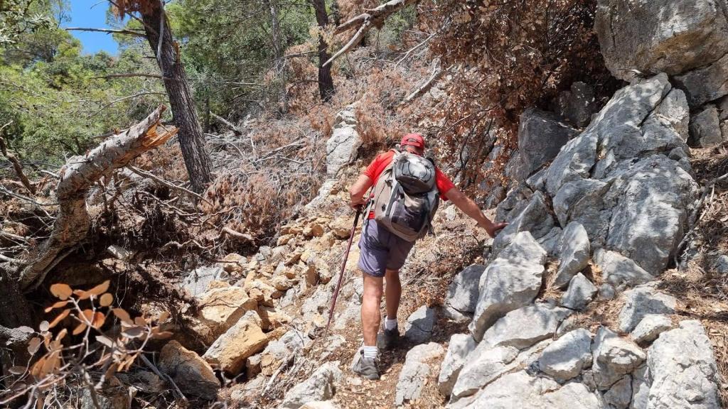 Senderista ascendiendo por un camino de piedra en la Serra de Son Moragues, rodeado de vegetación y árboles.