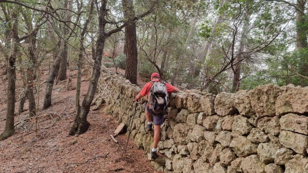 Un senderista escalando una pared de piedra en un bosque denso, con árboles y vegetación a su alrededor.