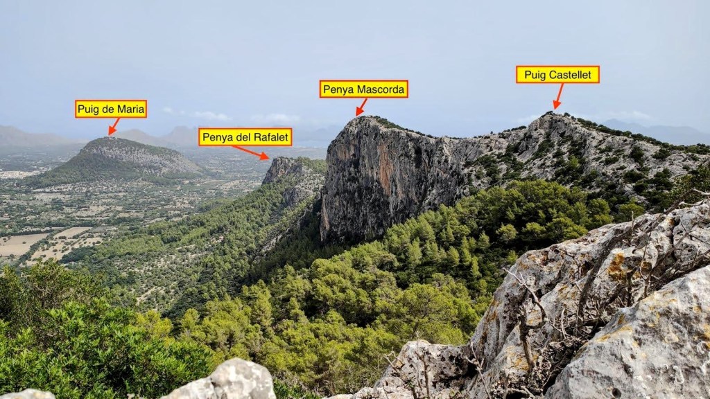 LA PEÑA MASCORDA desde&nbsp;Pollença