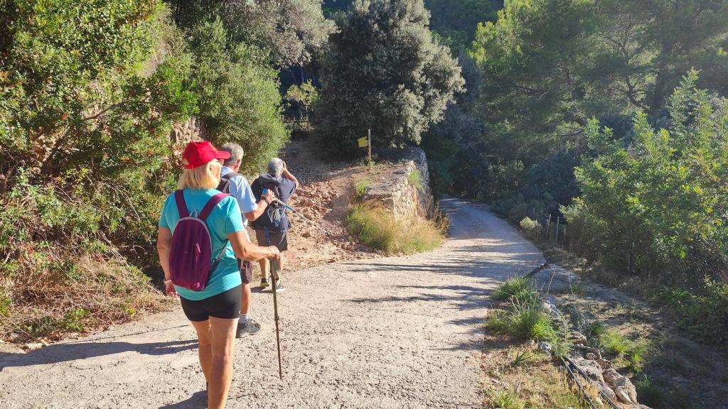 Grupo de personas caminando por un sendero en el bosque, con vegetación a ambos lados y un camino de tierra que desciende suavemente.