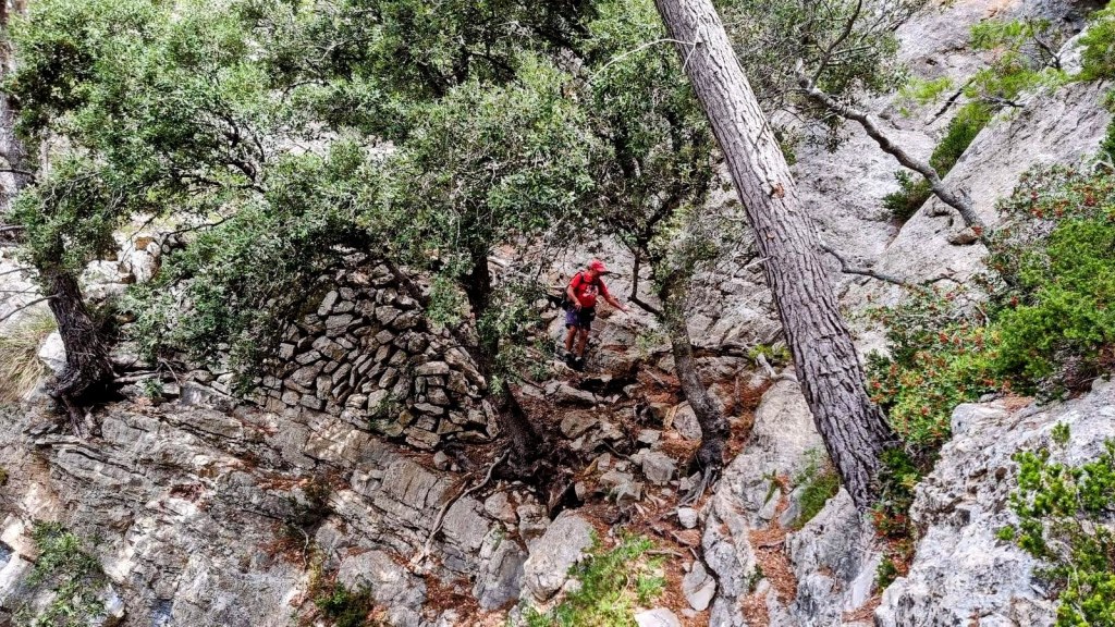Senderista descendiendo por un camino rocoso en un entorno montañoso, rodeado de árboles y paredes de piedra.