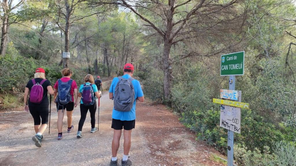 Grupo de senderistas caminando por un sendero en el bosque de la Sierra de Tramuntana, con un letrero que indica 'Camí de Can Tomeví'.