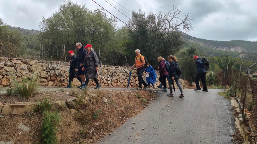 Grupo de senderistas caminando por un camino rural en la Ruta de ses Comes d’Andratx, rodeados de vegetación y un paisaje montañoso.