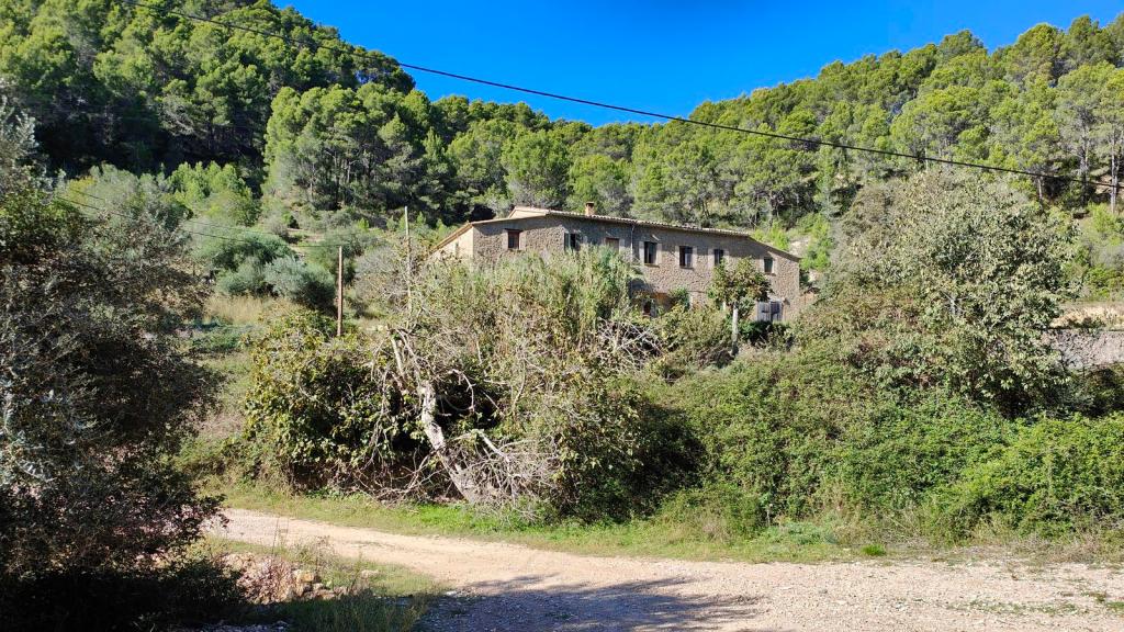 Vista de una antigua finca rodeada de vegetación densa, situada en una zona montañosa de Puigpunyent, Mallorca. La construcción de piedra se encuentra parcialmente oculta entre árboles y arbustos.