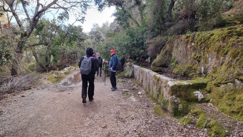 Grupo de personas caminando por un sendero rodeado de vegetación en la Serra de Tramuntana, Mallorca. A la izquierda, se puede ver una estructura de piedra cubierta de musgo.