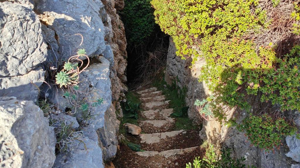 Puig de Massanella - Ruta normal - Caminando por Mallorca Escalera de piedra que desciende por un sendero rodeado de rocas y vegetación en el entorno de la Font de s'Avenc, en la Serra de Tramuntana.