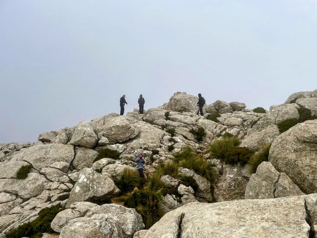 Puig de Massanella - Ruta normal - Caminando por Mallorca Un grupo de senderistas en la cima del Puig de Massanella, rodeados de rocas y vegetación. El ambiente es nublado y montañoso.