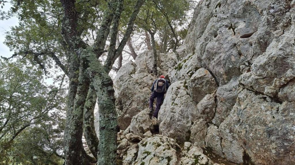 Persona ascendiendo por un sendero rocoso en un entorno forestal con árboles y rocas visibles.