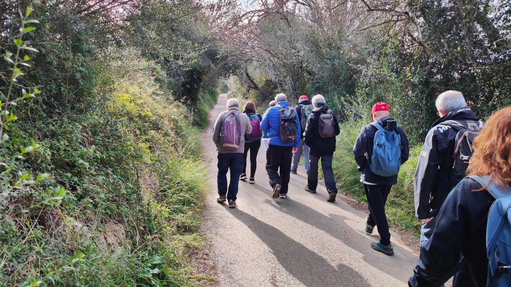 Grupo de personas caminando por un sendero estrecho y arbolado en la ruta 'Comuna de Lloret - Ruberts y alrededores'.