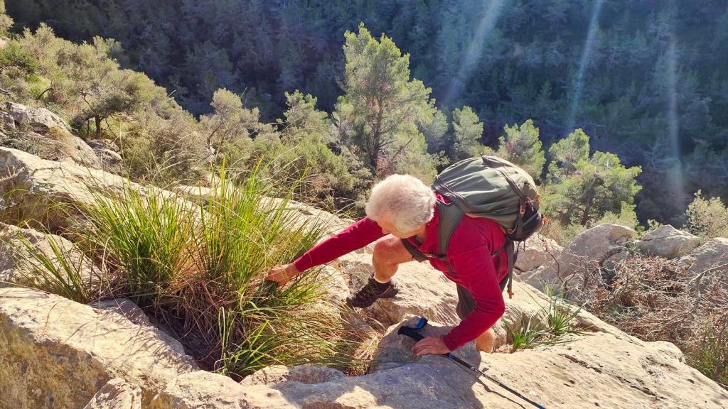 Puig Caragolí por el Paso del Coconar - Caminando por Mallorca Persona escalando un terreno rocoso en una ruta montañosa, rodeada de vegetación y árboles.
