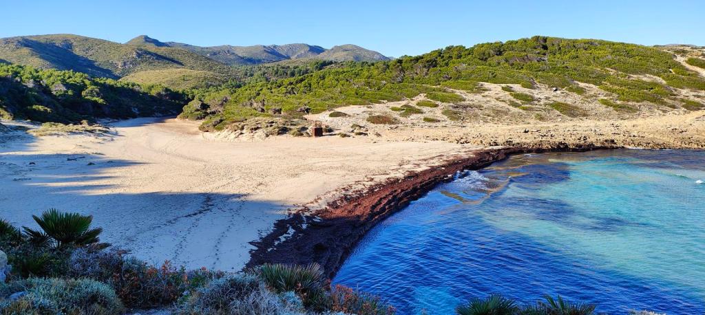 Vista panorámica de una playa aislada con arena clara y aguas cristalinas, rodeada de colinas y vegetación en el fondo.