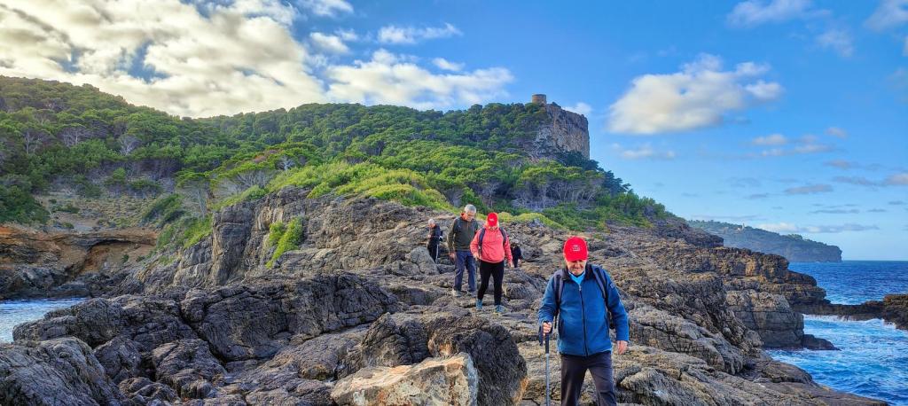 SES PUNTES Y TORRE&nbsp;PICADA