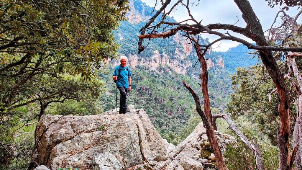 Hombre de pie sobre una roca grande en un paisaje montañoso, rodeado de vegetación y árboles, durante una caminata en la naturaleza.