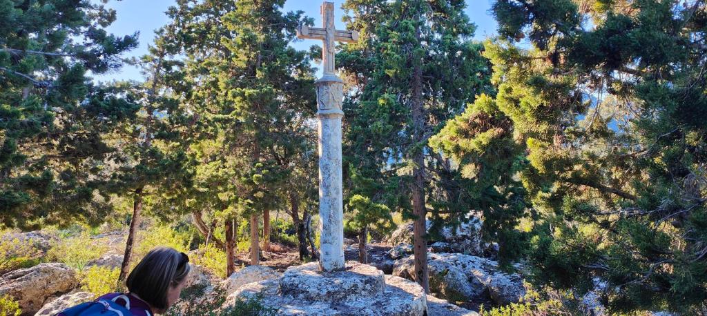 Cruz de Menut en un entorno natural con arbustos y árboles, con una persona observando la cruz.