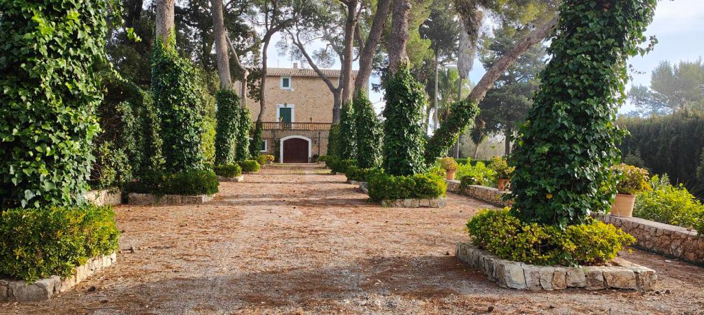 Entrada a las Casas de Calicant con un camino rodeado de árboles altos y plantas ornamentales, conducente a un edificio de piedra con ventanas verdes.