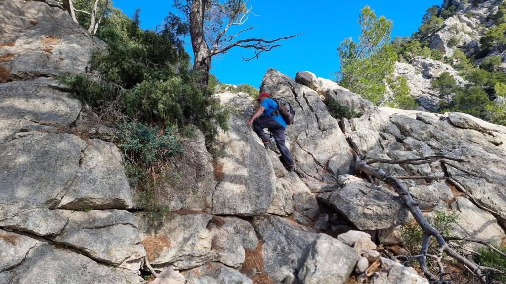 Persona escalando el Pas de n’Arbona, rodeado de vegetación y montañas.