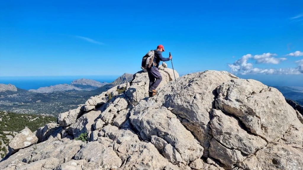 ES FRONTÓ DE&nbsp;COMAFREDA