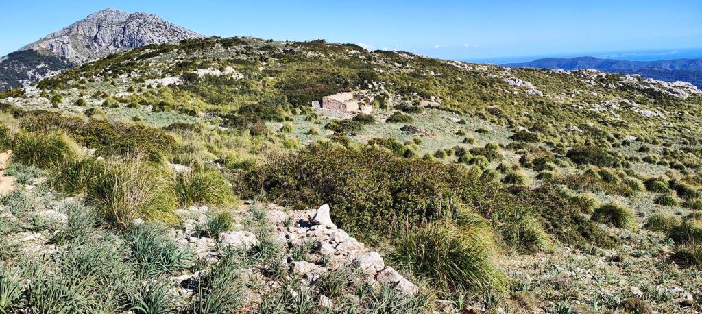 Puig Batiat-Cadira del Bisbe-Es Moletó - Caminando por Mallorca Vista panorámica del paisaje montañoso con vegetación baja y un antiguo granero en ruinas en la ruta hacia el Puig Batiat, en la finca pública de Galatzó.