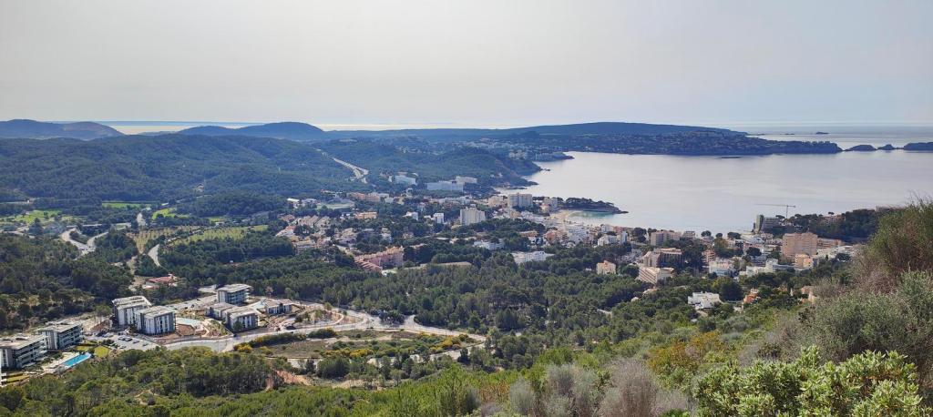 Vista panorámica de Peguera y la costa sur de Mallorca, mostrando la vegetación, edificios y el mar al fondo.